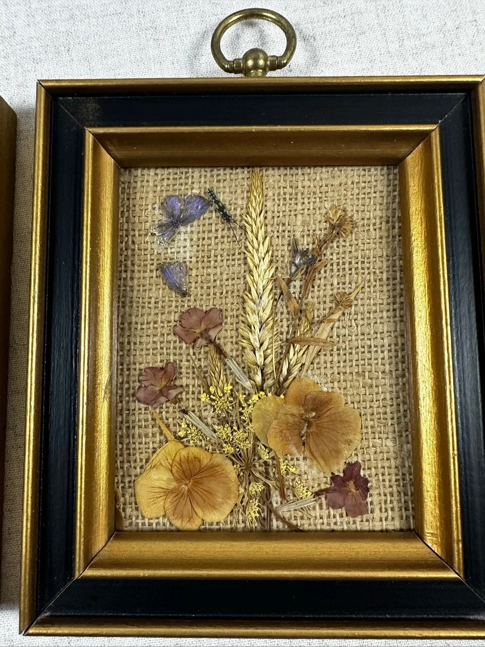 Pressed Floral Wall Art Floralp Pair Black Gold Frames